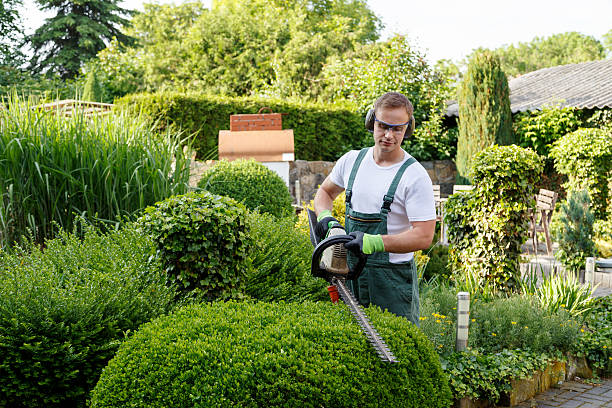 Best Seasonal Cleanup (Spring/Fall)  in USA